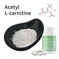 Acetyl l karnitinpulver